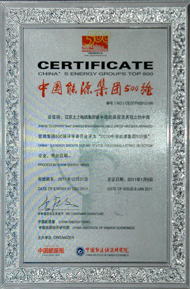 江苏上上电缆集团荣获“2010中国能源集团500强”