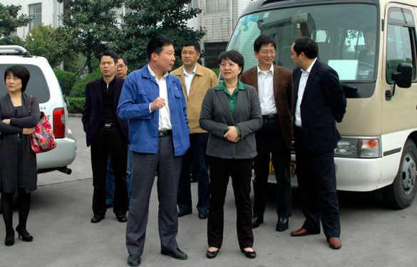 江苏省生态工业园建设协调小组来上上集团视察