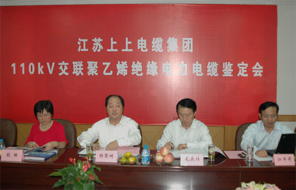 江苏上上电缆集团额定电压110kV交联聚乙烯绝缘电力电缆产品通过鉴定