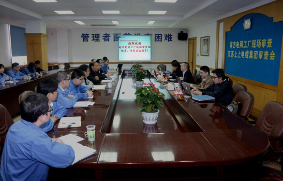 上上电缆顺利通过南方电网公司工厂现场审查