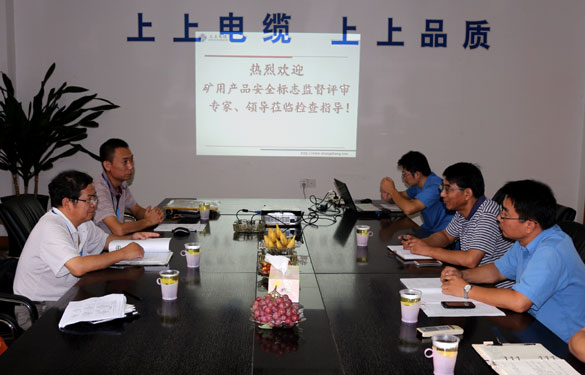 江苏上上电缆集团顺利通过安标现场监督评审