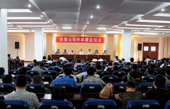 江苏上上电缆集团召开2013年销售公司半年度总结会
