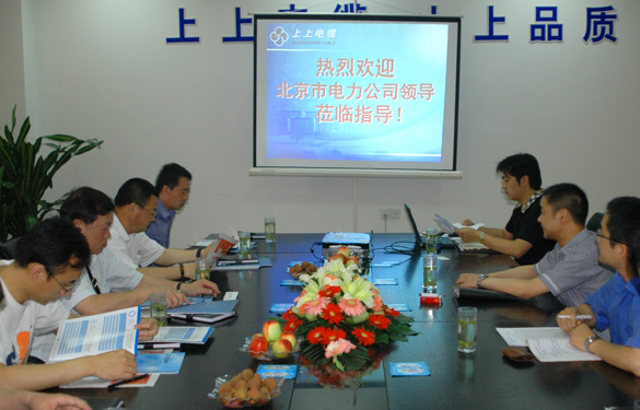 北京市电力公司领导来上上集团参观考察
