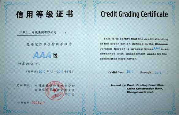 上上集团荣获中国建设银行“AAA级”信用等级