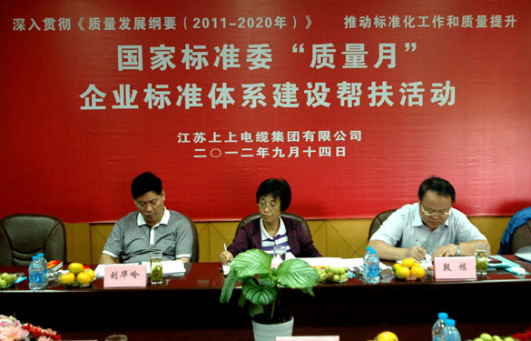 国标委“质量月”专家组到江苏上上电缆集团检查指导工作