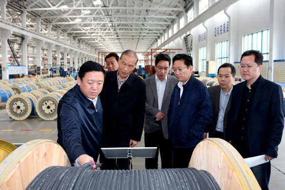 4月25日，青海省海南州州长来上上电缆考察
