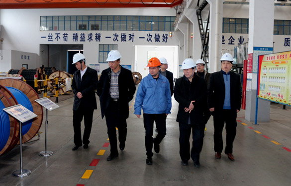 12月3日，丹江口市领导来上上电缆参观考察