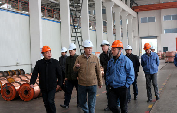 12月11日，溧阳经信局领导一行调研上上电缆西厂区三期工程建设情况并参观超高压生产基地